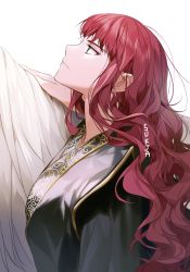 Rule 34 | 1girl, artist name, chinese clothes, closed mouth, from side, green eyes, juuni kokuki, long hair, looking up, nakajima youko, profile, red hair, serious, solo focus, sukja, upper body, wavy hair, white background