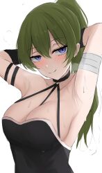 Rule 34 | 1girl, arm strap, armpits, arms behind back, arms up, bandaged arm, bandages, black choker, black dress, blue eyes, breasts, choker, cleavage, commentary, dress, green hair, halter dress, halterneck, highres, large breasts, long hair, looking at viewer, namikare, ponytail, smile, solo, sousou no frieren, ubel (sousou no frieren), upper body