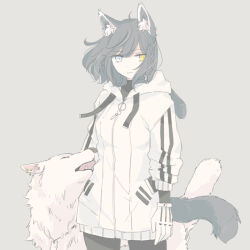 Rule 34 | 1girl, animal ear fluff, animal ears, arms at sides, black hair, black pants, blue eyes, braid, breasts, closed mouth, cowboy shot, expressionless, gloves, grey background, heterochromia, hood, hood down, hooded jacket, inutose, jacket, long sleeves, original, pants, short hair, simple background, single braid, small breasts, solo, standing, tail, white gloves, white jacket, wolf, wolf ears, wolf girl, wolf tail, yellow eyes