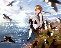 Rule 34 | 1girl, bird, blurry, brown eyes, brown hair, cliff, day, dress, looking at viewer, low twintails, ocean, original, outdoors, pantyhose, sky, smile, tan (tangent), traditional clothes, twintails, white pantyhose