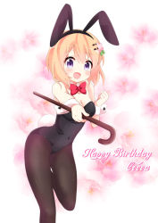 Rule 34 | 1girl, animal ears, black leotard, black pantyhose, bow, bowtie, breasts, cane, character name, commentary request, detached collar, fake animal ears, feet out of frame, gochuumon wa usagi desu ka?, hair ornament, hairclip, happy birthday, hoto cocoa, leotard, looking at viewer, massala, medium breasts, orange hair, pantyhose, playboy bunny, purple eyes, rabbit ears, rabbit girl, rabbit tail, red bow, red bowtie, short hair, solo, standing, standing on one leg, strapless, strapless leotard, tail, wrist cuffs