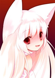 Rule 34 | 10s, 1girl, ^ ^, animal ears, bags under eyes, bare shoulders, closed eyes, detached sleeves, ech, empty eyes, eyelashes, face, from side, gradient background, happy, kyubey, long hair, looking at viewer, looking back, mahou shoujo madoka magica, mahou shoujo madoka magica (anime), open mouth, personification, red background, red eyes, shaded face, smile, solo, turtleneck, white hair