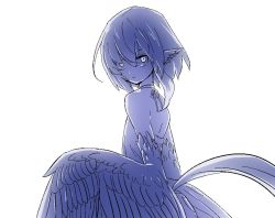 Rule 34 | 1girl, akira (meltyhip), backlighting, bare shoulders, feathered wings, feathers, female focus, halterneck, harpy, looking at viewer, monster girl, original, simple background, solo, white background, wings