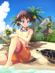 Rule 34 | 1boy, beach, blue eyes, blue sky, brown hair, closed mouth, cloud, cloudy sky, day, goggles, goggles around neck, hand on own knee, knee up, looking at another, male focus, maruhana, original, outdoors, palm tree, revision, shorts, sitting, sky, smile, solo, tree, turtle, water
