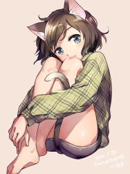 Rule 34 | 1girl, animal ear fluff, animal ears, bare legs, barefoot, beige background, blue eyes, brown hair, cat ears, cat girl, cat tail, commentary request, knees to chest, knees up, hugging own legs, long sleeves, looking at viewer, miniskirt, niina ryou, original, plaid, plaid shirt, shirt, short hair, sitting, skirt, solo, tail