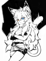 Rule 34 | ai.mi (omega strikers), angry, animal ears, belt, blue eyes, cat ears, cat tail, claws, collared shirt, crop top, crossed arms, frown, heterochromia, highres, liyart, looking at viewer, midriff, navel, omega strikers, shirt, simple background, single thighhigh, spot color, tail, thighhighs, yellow eyes, zettai ryouiki