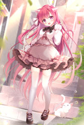 Rule 34 | 1girl, animal ears, black bow, black footwear, black neckwear, blush, bow, cat, cat ears, dress, frilled dress, frills, full body, hair ribbon, highres, long hair, long sleeves, looking at viewer, open mouth, original, outdoors, pink dress, pink eyes, pink hair, pink theme, plaid, plaid dress, puffy sleeves, ribbon, shirosei mochi, shirt, shoes, smile, solo, stairs, standing, thighhighs, very long hair, white cat, white ribbon, white shirt, white thighhighs