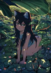 Rule 34 | 1girl, absurdres, animal ears, artist name, black hair, blush, cat ears, cat girl, commentary, english commentary, engrish commentary, flat chest, green eyes, highres, kgt (pixiv12957613), kneeling, leaf, lily pad, long hair, looking at viewer, open mouth, original, panties, partially submerged, shadow, solo, underwear, water, wet