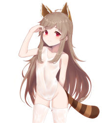 Rule 34 | 1girl, animal ears, arm behind back, arm up, bad id, bad pixiv id, bare arms, bare shoulders, blush, brown hair, casual one-piece swimsuit, collarbone, fingernails, groin, highleg, highleg swimsuit, highres, kuki panda (wkdwnsgk13), long hair, looking at viewer, one-piece swimsuit, red eyes, sidelocks, simple background, solo, soulworker, stella unibell, striped tail, swimsuit, tail, thighhighs, very long hair, white background, white one-piece swimsuit, white thighhighs