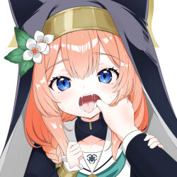 Rule 34 | 1girl, 1other, animal ear headwear, black headwear, blue archive, blue eyes, blush, coif, collarbone, fake animal ears, flower, habit, hat, hat flower, highres, long hair, looking at viewer, mari (blue archive), mutsuse, nun, open mouth, orange hair, sailor collar, simple background, solo focus, upper body, white background, white flower, white sailor collar