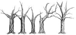 Rule 34 | bad id, bad twitter id, bare tree, branch, greyscale, monochrome, mugetsu2501, no humans, original, simple background, texture, tree, white background