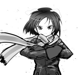 Rule 34 | 10s, 1girl, aki426, animal ears, bad id, bad pixiv id, bandaid, bandaid on face, brave witches, crossed arms, greyscale, kanno naoe, monochrome, scarf, solo, strike witches, upper body, world witches series