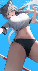 Rule 34 | 1girl, aarontsay, absurdres, animal ear fluff, animal ears, black buruma, blue background, blue eyes, breasts, buruma, cat ears, cat girl, cat tail, commission, crop top, from below, grey hair, gym shirt, gym uniform, hana hebi, highres, indie virtual youtuber, large breasts, long hair, looking at viewer, looking down, navel, second-party source, shirt, short sleeves, simple background, solo, standing, stomach, tail, thighs, tied shirt, underwear, virtual youtuber, white hair, white shirt