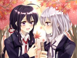 Rule 34 | 10s, 2boys, :d, ahoge, autumn leaves, bad id, bad pixiv id, black hair, blush, collared shirt, closed eyes, face-to-face, from side, holding, holding leaf, honebami toushirou, kanon (ikamiso), leaf, long hair, long sleeves, looking at another, low ponytail, male focus, maple leaf, multiple boys, namazuo toushirou, neck ribbon, open mouth, profile, purple eyes, purple ribbon, red ribbon, ribbon, rope, shirt, short hair, silver hair, smile, touken ranbu, uniform, upper body, white shirt