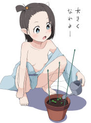 Rule 34 | 1girl, bad id, bad pixiv id, blue eyes, breasts, brown hair, commentary, holding, horns, japanese clothes, kimono, no panties, one side up, open mouth, original, plant, potted plant, shacho (ko no ha), shadow, shirt slip, single horn, single sleeve, small breasts, solo, squatting, translated, watering, watering can, white background