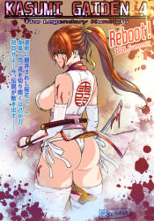 Rule 34 | 1girl, blood, breasts, dead or alive, goosuka, kasumi (doa), large breasts, long hair, ninja gaiden, ponytail, solo
