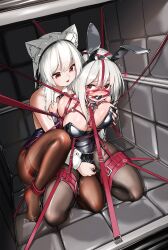 Rule 34 | 2girls, absurdres, animal ear fluff, animal ears, bdsm, black pantyhose, blush, borrowed character, box, breasts, cat ears, cuffs, detached collar, fake animal ears, gag, gag harness, groping, highres, immobilization, in box, in container, large breasts, leotard, long hair, looking at another, maid headdress, multiple girls, original, padded walls, pantyhose, playboy bunny, pxfz1234, rabbit ears, red eyes, second-party source, sex toy, strapless, strapless leotard, trembling, vibrator, vibrator under clothes, white hair, wiffle gag, wrist cuffs, yuri