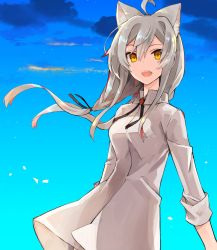 Rule 34 | :d, ahoge, animal ears, blue sky, cat ears, day, grey hair, highres, long sleeves, looking at viewer, multicolored hair, nemo (pixiv fantasia age of starlight), open mouth, outdoors, pixiv fantasia, pixiv fantasia age of starlight, sky, smile, solo, standing, streaked hair, tori (10ri), wind, yellow eyes