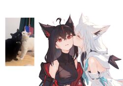 Rule 34 | 2girls, ?, ahoge, animal ear fluff, animal ears, black hair, black jacket, black shirt, black vs white, blue neckerchief, braid, cat, closed eyes, commentary request, cropped shirt, fox ears, fox girl, fox tail, from side, hair between eyes, highres, hololive, hyde (tabakko), jacket, kiss, kurokami fubuki, long hair, multiple girls, neckerchief, off shoulder, parted lips, photo-referenced, profile, red eyes, red streaks, reference inset, shirakami fubuki, shirakami fubuki (1st costume), shirt, simple background, single braid, sleeveless, sleeveless shirt, tail, two-sided fabric, two-sided jacket, virtual youtuber, white background, white hair, yuri