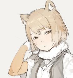 Rule 34 | 10s, 1girl, animal ears, blonde hair, closed mouth, elbow gloves, fox ears, fur collar, gloves, grey background, highres, hiranko, kemono friends, looking at viewer, simple background, sketch, solo, tibetan fox (kemono friends), upper body, vest, yellow eyes