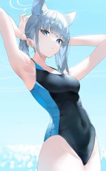 Rule 34 | 1girl, adjusting hair, animal ears, armpits, arms up, blue archive, blue background, blue eyes, breasts, competition swimsuit, covered navel, highres, ichibi, looking at viewer, navel, one-piece swimsuit, shiroko (blue archive), shiroko (swimsuit) (blue archive), skin tight, skindentation, small breasts, solo, swimsuit, thighs, white hair