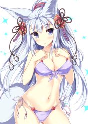 Rule 34 | 10s, 1girl, animal ears, bikini, blue eyes, blush, breasts, cleavage, curvy, erune, granblue fantasy, hands on own chest, large breasts, long hair, looking at viewer, navel, purple bikini, side-tie bikini bottom, silver hair, simple background, smile, societte (granblue fantasy), solo, swimsuit, tail, tateha (marvelous grace), wide hips, wolf ears, wolf tail