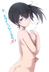 Rule 34 | 1girl, ass, breasts, brown eyes, brown hair, completely nude, covering privates, covering breasts, highres, honma (honmatomohiro), kaga (kancolle), kantai collection, long hair, looking at viewer, nude, side ponytail, sideboob, smile, solo, tsurime, white background
