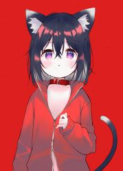 Rule 34 | 1girl, :o, absurdres, animal ears, black hair, blush, cat ears, cat girl, cat tail, collar, collarbone, commentary, grey hair, hair between eyes, hand up, highres, jacket, long sleeves, looking at viewer, meito (maze), multicolored hair, original, parted lips, puffy long sleeves, puffy sleeves, purple eyes, red background, red collar, red jacket, simple background, sleeves past wrists, solo, streaked hair, symbol-only commentary, tail, track jacket, upper body