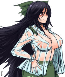 Rule 34 | 1girl, bird wings, black hair, black wings, blush, bow, breasts, center opening, closed mouth, cowboy shot, green bow, green skirt, hair bow, hand on own hip, hanemikakko, large breasts, long hair, long sleeves, looking away, open clothes, open shirt, red eyes, reiuji utsuho, see-through, shirt, sketch, skirt, smile, solo, sweat, touhou, wet, wet clothes, wet shirt, wings