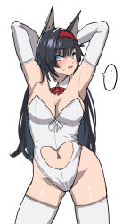 Rule 34 | ..., 1girl, alternate costume, animal ears, arknights, arms behind head, arms up, black hair, blaze (arknights), blue eyes, blush, breasts, cat ears, cleavage, clothing cutout, detached collar, elbow gloves, gloves, hairband, heart cutout, highres, large breasts, leotard, long hair, looking at viewer, navel cutout, parted lips, red hairband, red neckwear, satsuki neko, simple background, solo, spoken ellipsis, sweat, thighhighs, white background, white gloves, white leotard, white thighhighs