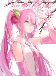 Rule 34 | 1girl, arm up, armpits, bare shoulders, breasts, cherry blossoms, collared shirt, commentary, detached sleeves, flower, fuwawa (fuwawa617), hair ornament, hatsune miku, highres, long hair, long sleeves, looking up, necktie, parted lips, pink eyes, pink flower, pink hair, pink theme, sakura miku, shirt, small breasts, solo, branch, twintails, upper body, very long hair, vocaloid, white shirt, wide sleeves