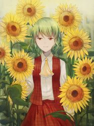 Rule 34 | 1girl, arcalyx, ascot, collared shirt, flower, green hair, highres, kazami yuuka, open clothes, open vest, plaid, plaid skirt, plaid vest, red eyes, red skirt, red vest, shirt, short hair, skirt, skirt set, solo, sunflower, touhou, vest, wavy hair, white shirt, yellow ascot