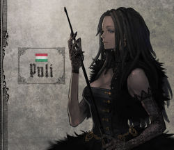 Rule 34 | 1girl, agasang, asymmetrical clothes, asymmetrical gloves, black hair, black nails, blue eyes, breasts, buttons, cleavage, corset, country, dark-skinned female, dark skin, dreadlocks, elbow gloves, flag, from side, fur, gloves, gold, gold trim, goth fashion, hungarian flag, hungary, jewelry, long hair, looking at viewer, nail polish, national flag, original, personification, realistic, see-through, solo, uneven gloves, whip