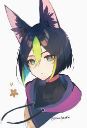 Rule 34 | 1boy, absurdres, animal ear fluff, animal ears, artist name, azna, black hair, black shirt, blunt ends, bright pupils, brown eyes, closed mouth, commentary request, covered collarbone, cropped shoulders, drawstring, expressionless, fox ears, genshin impact, green eyes, green hair, hair between eyes, highres, hood, hood down, hoodie, looking at viewer, male focus, multicolored eyes, multicolored hair, shirt, short hair, sidelocks, solo, tighnari (genshin impact), turtleneck, twitter username, two-tone hair, upper body, white background, white pupils