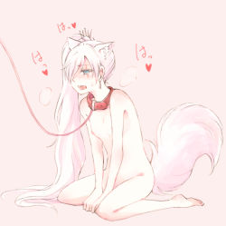Rule 34 | 1girl, animal ears, blush, breasts, collar, leash, long hair, nagasawa (tthnhk), nipples, nude, open mouth, ponytail, rwby, simple background, small breasts, solo, tail, weiss schnee, white hair