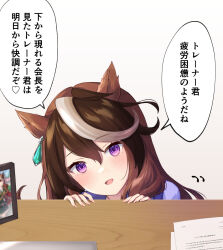 Rule 34 | 1girl, :d, animal ears, brown hair, commentary request, gradient background, grey background, hair between eyes, hands up, head tilt, highres, horse ears, looking at viewer, multicolored hair, open mouth, photo (object), portrait, purin jiisan, purple eyes, purple shirt, school uniform, shirt, smile, solo, streaked hair, symboli rudolf (umamusume), tracen school uniform, translation request, umamusume, white background, white hair