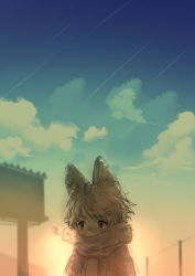 Rule 34 | 1boy, absurdres, animal ear fluff, animal ears, billboard, black eyes, blurry, blurry background, blush, breath, cloud, cloudy sky, covered mouth, devil lo, falling star, grey hair, highres, male focus, meteor shower, original, outdoors, power lines, scarf, sketch, sky, solo