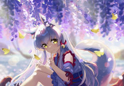 Rule 34 | 1girl, animal ear fluff, animal ears, bell, bug, butterfly, flower, fox ears, fox girl, fox tail, hair bell, hair ornament, hisana, insect, japanese clothes, long hair, looking at viewer, original, silver hair, sitting, solo, tail, wisteria, yellow eyes