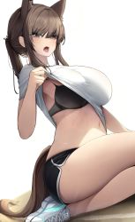Rule 34 | 1girl, animal ear fluff, animal ears, blouse, blush, breasts, commentary, ddangbi, highres, large breasts, looking at viewer, navel, open mouth, seiza, shadow, shirt, short shorts, shorts, sidelocks, simple background, sitting, solo, teeth, upper teeth only, white background, white shirt