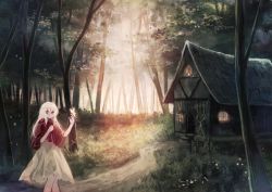 Rule 34 | 1girl, albino, bug, butterfly, butterfly on hand, forest, house, insect, long hair, looking at viewer, miyakure, nature, path, red eyes, revision, road, shirt, skirt, smile, solo, sound horizon, white hair