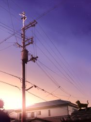 Rule 34 | cat, japanese house, power lines, tagme, tsuyuki