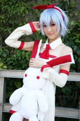 Rule 34 | asakura hina, blue hair, bow, cosplay, hair bow, highres, photo (medium), pleinair, stuffed animal, stuffed rabbit, stuffed toy