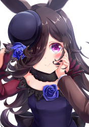 Rule 34 | 1girl, 1other, absurdres, animal ears, blue dress, blue flower, blue headwear, blue rose, blush, bow, bowler hat, breasts, brown hair, closed mouth, dress, dress bow, dress flower, flower, fur collar, hair over one eye, hand on another&#039;s cheek, hand on another&#039;s face, hat, hat flower, hat over one eye, highres, horse ears, horse girl, horse tail, long hair, looking at viewer, off-shoulder dress, off shoulder, one eye covered, pov, pov hands, purple eyes, rice shower (umamusume), rose, small breasts, smile, solo focus, tail, tilted headwear, umamusume, upper body, yukikawa sara