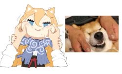Rule 34 | 1girl, animal, animal ears, blonde hair, blue eyes, cheek squash, dog, dog ears, hair between eyes, hands on another&#039;s wrists, jong tu, looking at viewer, multicolored hair, original, photo-referenced, photo inset, reference inset, reference photo, scarf, shiba inu, shiba squish, short hair, simple background, solo focus, two-tone hair, upper body, white background, white hair