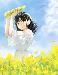 Rule 34 | 1girl, absurdres, animal, arms up, black hair, blue sky, bug, butterfly, closed mouth, cloud, commentary request, day, dress, flower, flower wreath, green eyes, hair ornament, hairclip, head wreath, highres, holding, huge filesize, insect, looking at viewer, original, outdoors, rapeseed blossoms, short sleeves, signature, sky, smile, solo, standing, takenoko no you, white dress, wide sleeves, yellow flower