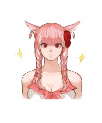 Rule 34 | 1girl, absurdres, animal ears, bad id, bad pixiv id, braid, breasts, cat ears, cleavage, earrings, facial mark, final fantasy, final fantasy xiv, flower, frown, hair flower, hair ornament, highres, jewelry, kkaebing, large breasts, long hair, looking at viewer, miqo&#039;te, pink eyes, pink hair, pink theme, red flower, simple background, solo, sparkle, twin braids, upper body, warrior of light (ff14), white background