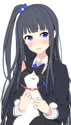 Rule 34 | 1girl, :d, ^ ^, absurdres, animal, bad id, bad pixiv id, bell, black cat, black hair, black jacket, blazer, blue bow, blue bowtie, blue eyes, blush, bow, bowtie, cat, closed eyes, collared shirt, hair bow, head tilt, highres, holding, holding animal, holding cat, jacket, jingle bell, long sleeves, looking at viewer, nanotaro, one side up, open mouth, original, parted lips, shirt, simple background, smile, solo, white background, white shirt