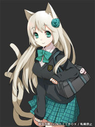 Rule 34 | 1girl, animal ears, bag, cat ears, cat tail, flower, green eyes, hair flower, hair ornament, long hair, looking at viewer, mami (apsaras), multiple tails, plaid, plaid skirt, rose, school bag, school uniform, simple background, skirt, smile, solo, sweater, tail, thighhighs, youjo taisen, zettai ryouiki