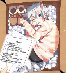 Rule 34 | 1boy, 1other, animal ears, bike shorts, black shorts, blue eyes, box, cardboard box, cat boy, cat ears, cat tail, commentary request, contract, fang, from above, ginjiro (ginziro525), ginjiro (vtuber), grey hair, grey tail, hair between eyes, hand on own cheek, hand on own face, in box, in container, indie virtual youtuber, long sleeves, looking at viewer, looking to the side, looking up, male focus, messy hair, mixed-language commentary, one eye closed, open mouth, original, out of frame, packing peanuts, shirt, shoes, short hair, shorts, skin fang, solo focus, striped clothes, striped shirt, tail, thighhighs, translation request, trap, unworn shoes, virtual youtuber, white legwear