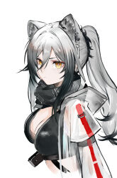 1girl animal_ear_fluff animal_ears arknights black_bra black_hair black_scarf bra breasts cat_ears closed_mouth coat eyeshadow gradient_hair grey_hair hair_between_eyes hair_ornament hairpin highres hood hooded_coat large_breasts long_hair long_sleeves looking_at_viewer makeup multicolored_hair open_clothes open_coat ponytail red_eyeshadow s_4ik4 scarf schwarz_(arknights) sidelocks simple_background solo underwear white_background white_coat yellow_eyes